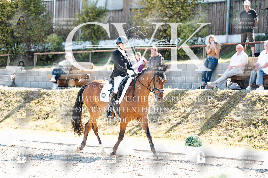 CK909243 | Turnierfotografie Pferdefotografie Trier Rheinland-Pfalz Pferdesport Reitsport Tierfotografie Sportfotografie Pferdevideo Pferdevideografie Equestrianvideography equestrianphotography  - Realisiert mit Pictrs.com