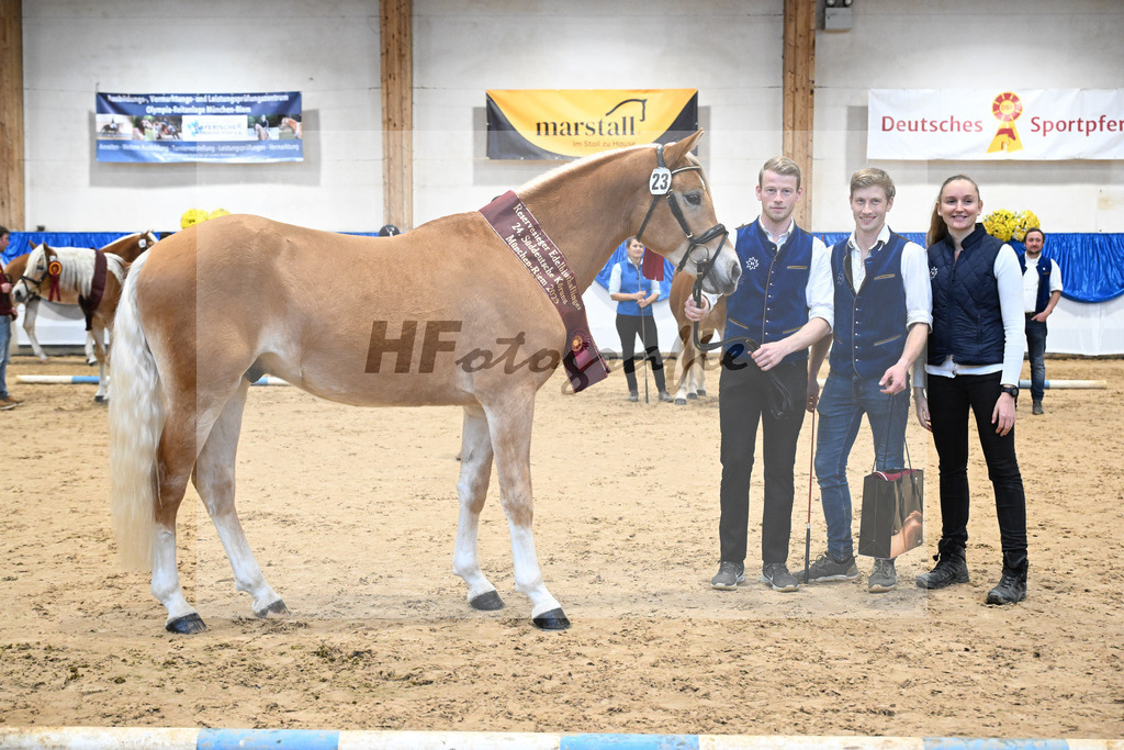 Kat-Nr. 23 Maverick v. Manu_Lechner_48254184 | hf-fotografie - Realisiert mit Pictrs.com