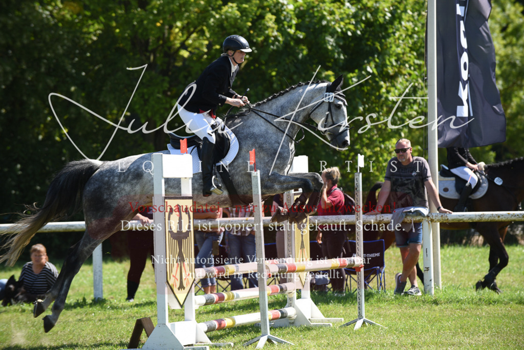 DSC_9533 | Pferde- und Turnierfotografie in Westsachsen. Pferdeportraits, Auftragszeichnungen und intuitive Kunst.