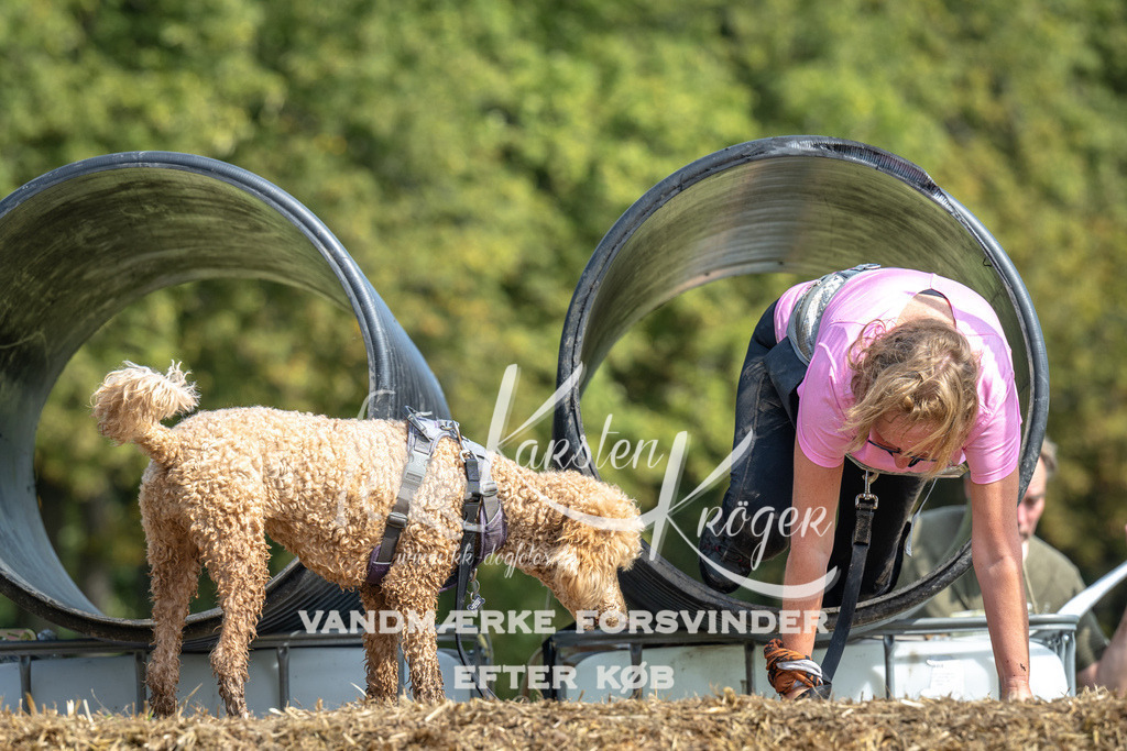 1302_ZZ91764 | kk-dogfotos