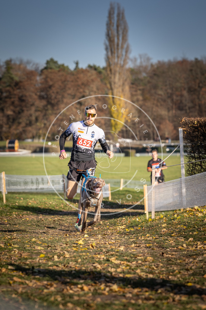 CaniXpix_DV3A0484 | Hundefotografie, Tierfotograf, Pfotenfotografie, Fotoshooting Hund, Hunde Portrait, Hundesport, Hundeportraits, Heideshooting, Hunde, Sportfotograf, Hundefotograf, Turnierhundsport, THS,  - Realisiert mit Pictrs.com