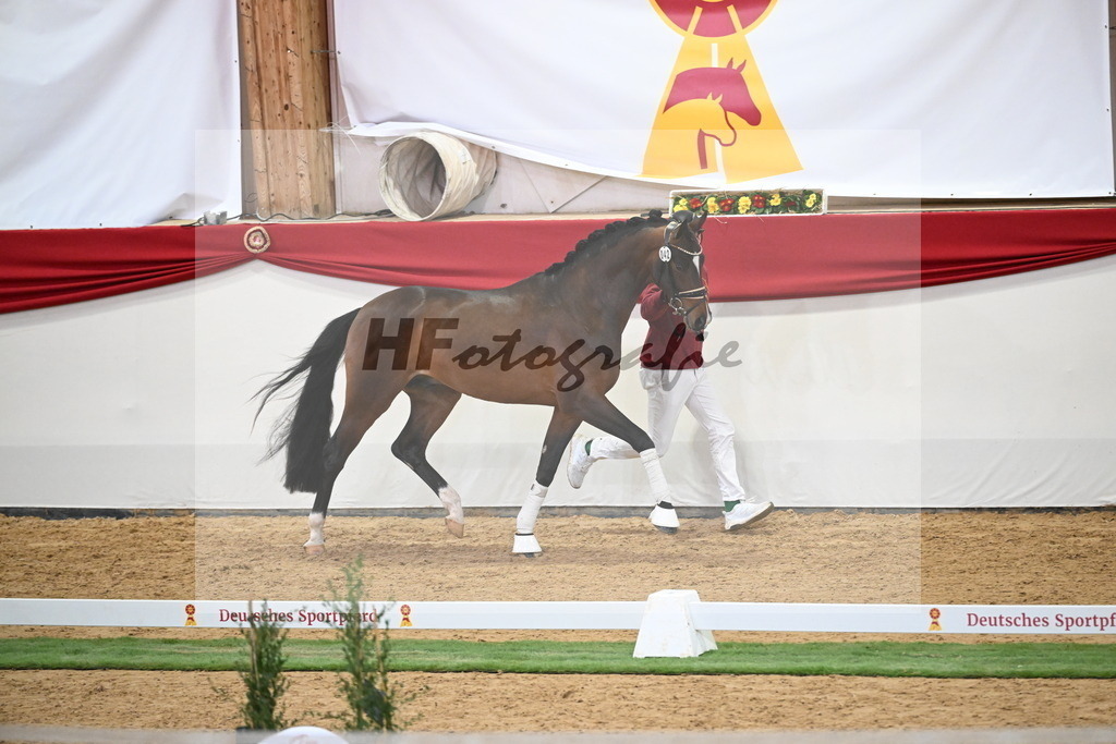 Kat.-Nr. 42 v. Benicio_De Vittorio_2250030 | hf-fotografie - Realisiert mit Pictrs.com