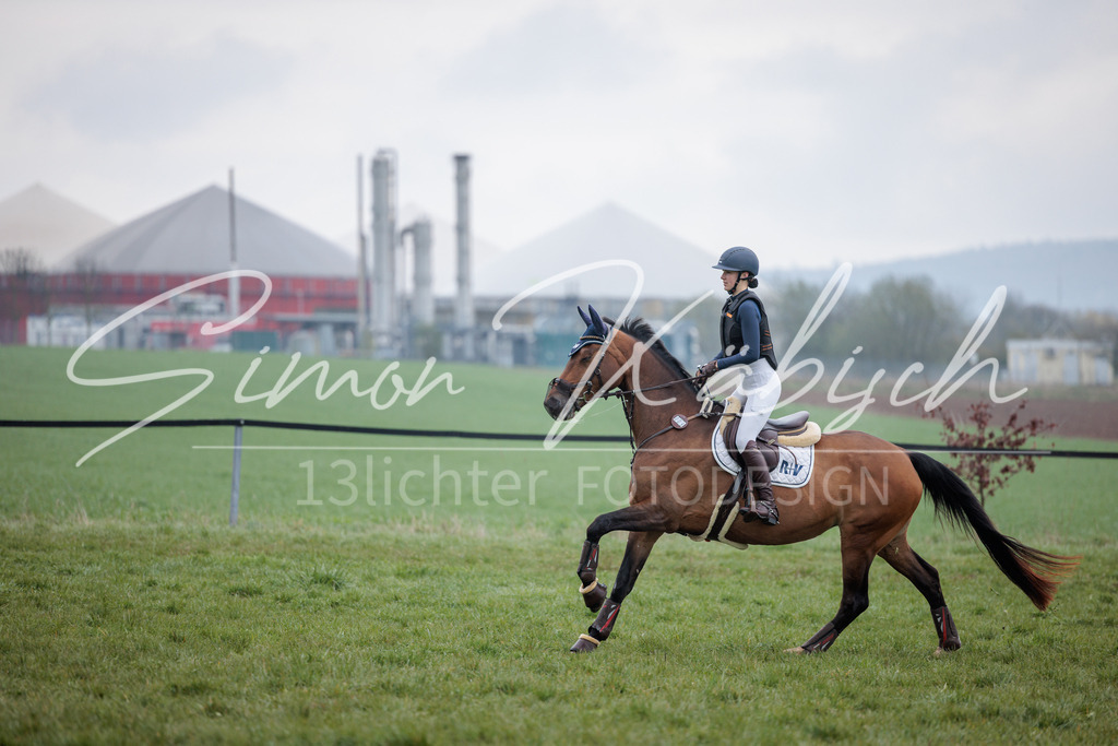 20260329-_3LI3857 | Tierfotografie Pferde, Hunde, Katzen, Haustiere.
Turnierfotografie Reitturniere, Reiten, Springreiten, Dressur in Hanau, dem Main-Kinzig-Kreis und dem Rhein-Main- Gebiet um Frankfurt