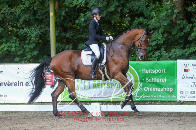 DKP43039 | Turniersportfotografie; Pferdefotografie; Dressurfotografie