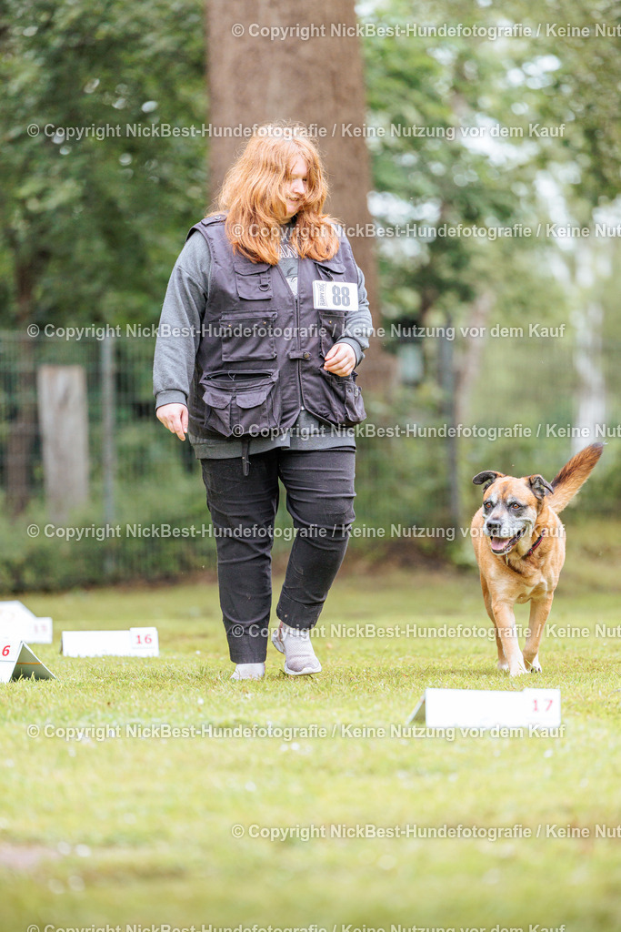 RO-Blumenthal-2026-Nickbest-Hundefotografie-4307 | Dein Hund! Dein Moment! Deine Erinnerungen! Hundefotografie in Bremen Blumenthal. Ich fange die besonderen Momente deines Vierbeiners ein – ob Indoor mit Blitzanlage oder in der freien Natur. Sicher dir dein Moment und dein Termin für eure Erinnerungen.