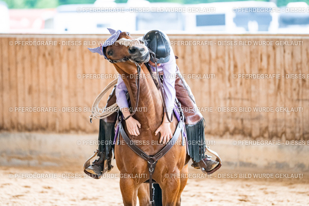 DSC09541 | Pferdegrafie