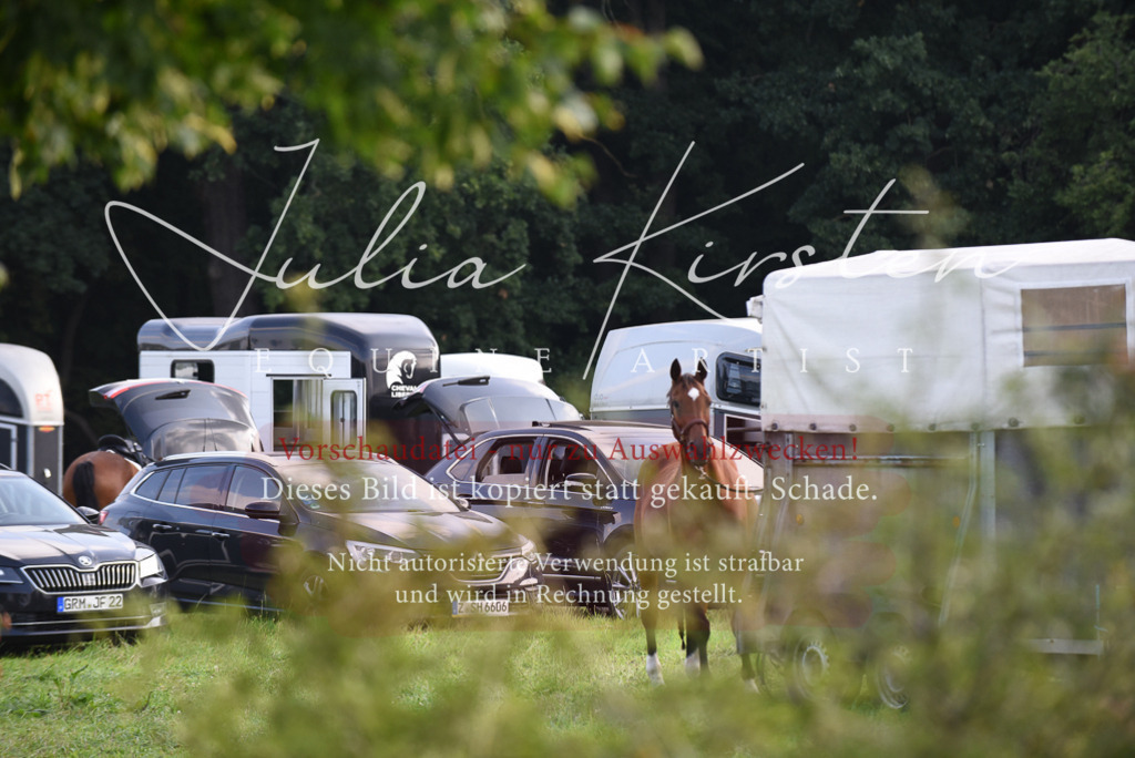 DSC_8583 | Pferde- und Turnierfotografie in Westsachsen. Pferdeportraits, Auftragszeichnungen und intuitive Kunst.