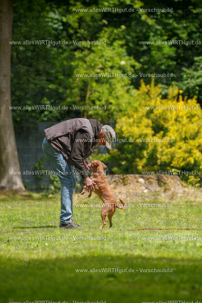 @allesWIRTHgut_Tierfotografie - www.allesWIRTHgut.de - 121829-7R508850 | Professionelle Tierfotografie in Mönchengladbach von Daniel Wirth (allesWIRTHgut). Liebevolle & natürliche Bilder von Hunden & Katzen für unvergessliche Erinnerungen.