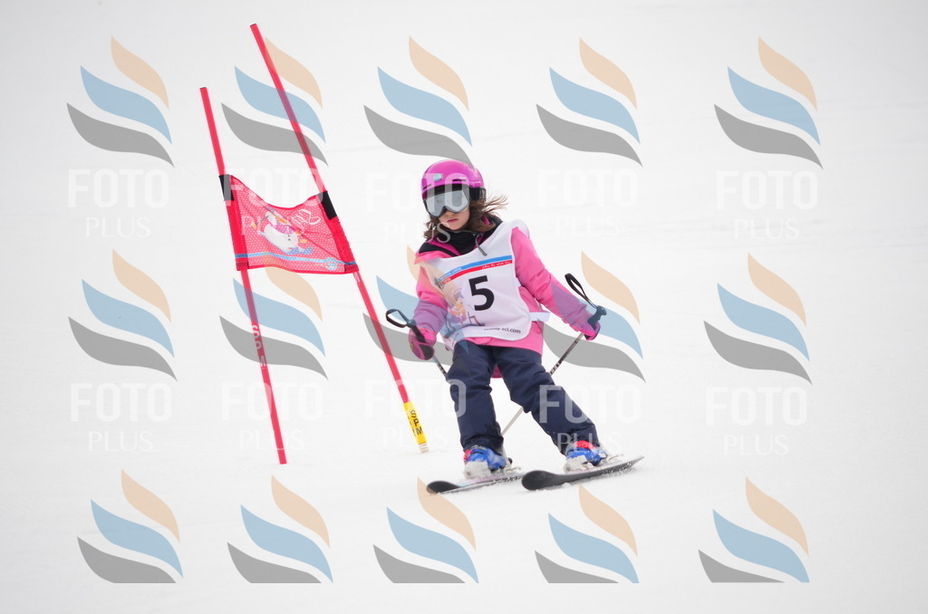 B9944 | holidayphoto