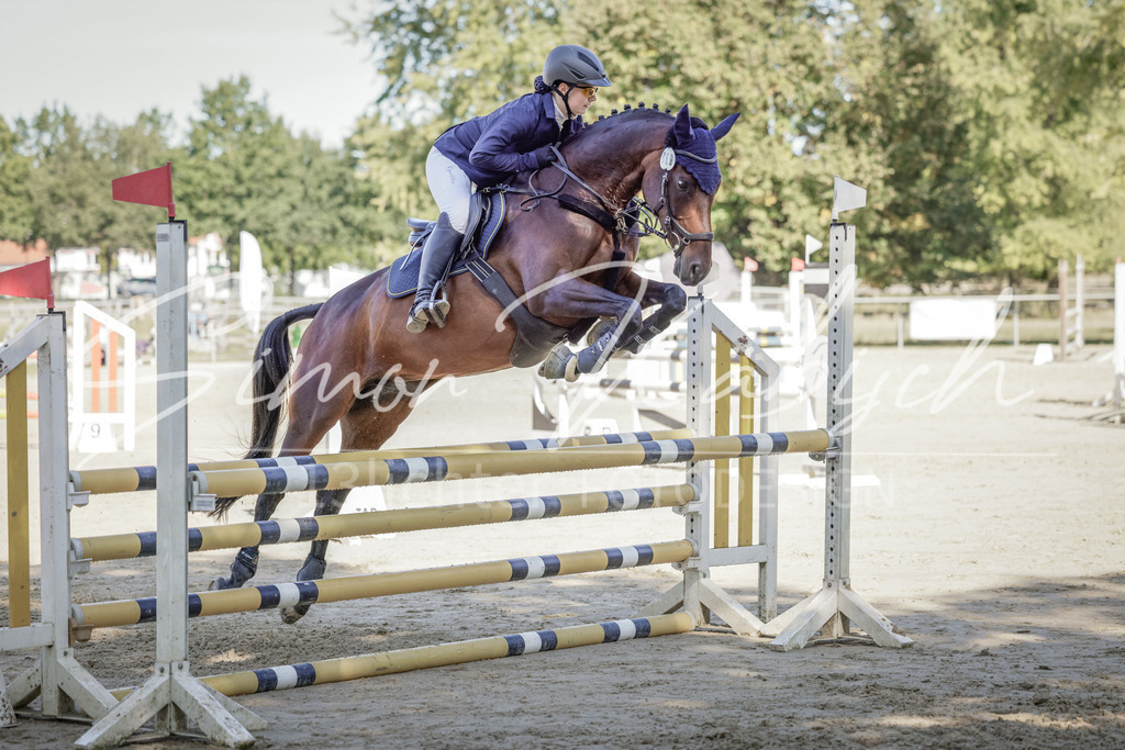 20250906-_3LI3390 | Tierfotografie Pferde, Hunde, Katzen, Haustiere.
Turnierfotografie Reitturniere, Reiten, Springreiten, Dressur in Hanau, dem Main-Kinzig-Kreis und dem Rhein-Main- Gebiet um Frankfurt