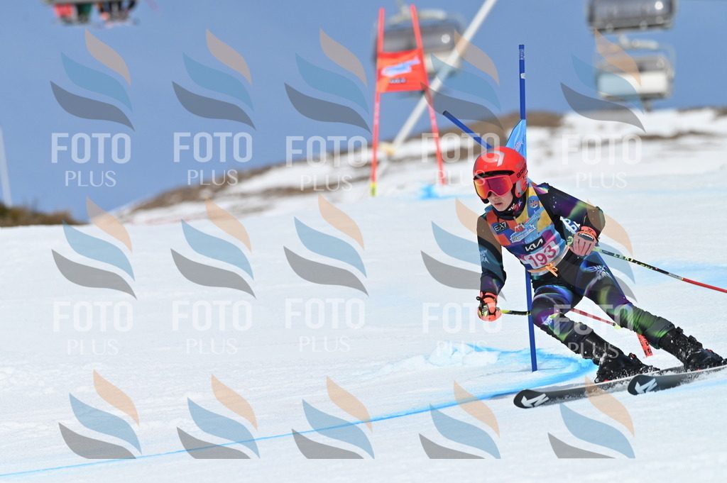 BGV_0871 | holidayphoto