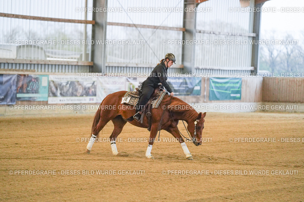 DSC09246 | Pferdegrafie