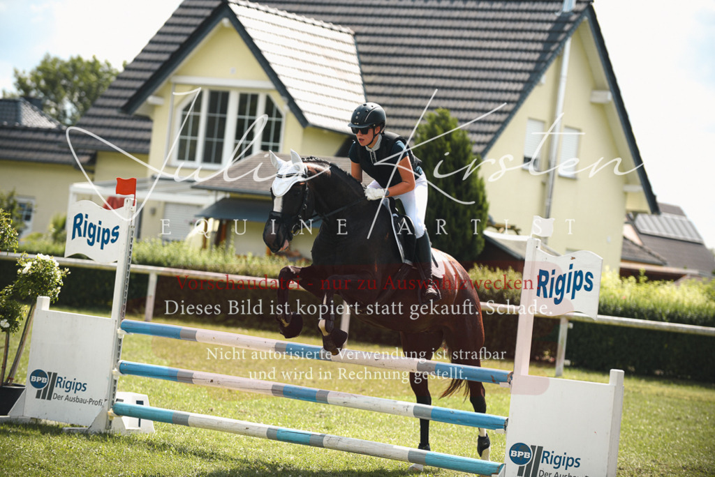 DSC_6726 | Pferde- und Turnierfotografie in Westsachsen. Pferdeportraits, Auftragszeichnungen und intuitive Kunst.
