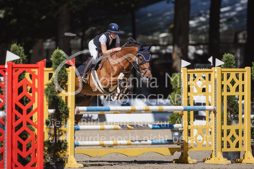 230907_OWLCh_Amateur-S-635 | Deine schönsten Turniermomente als professionelle Fotos! Entdecke hochwertige Pferdesport-Fotografie im Online-Shop. Jetzt Fotos finden & bestellen!