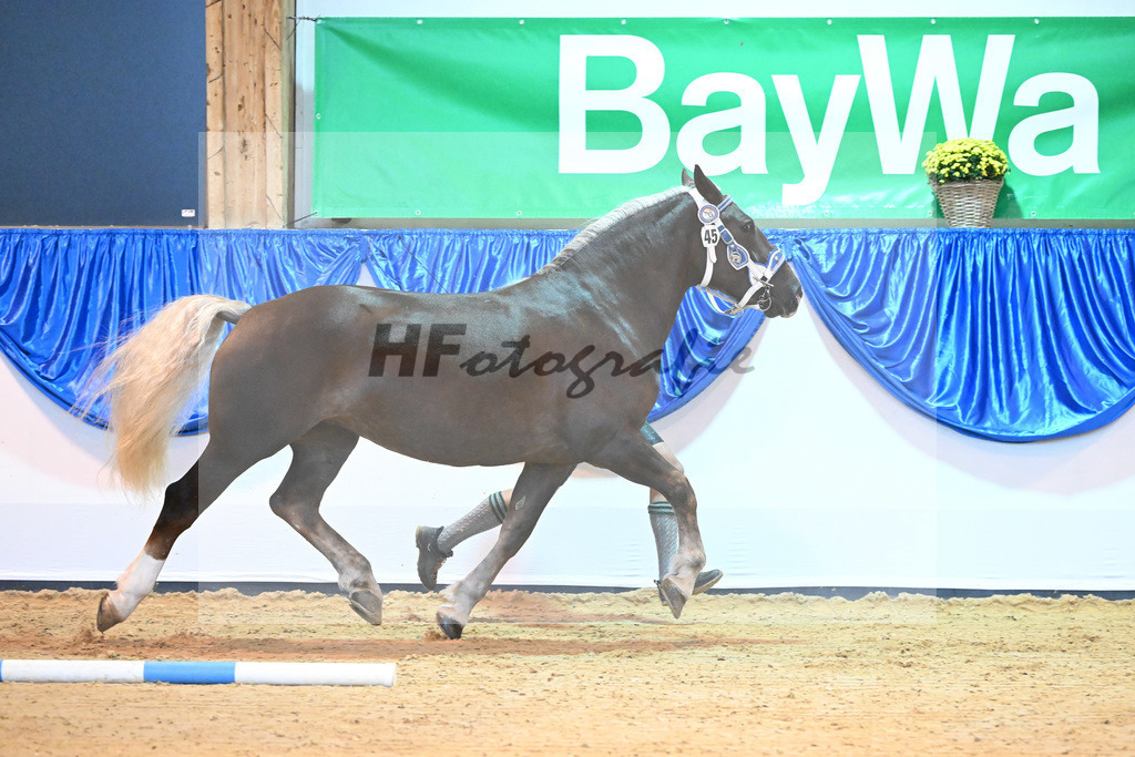 Kat-Nr. 45 Fina G_Grandauer_53220028 | hf-fotografie - Realisiert mit Pictrs.com