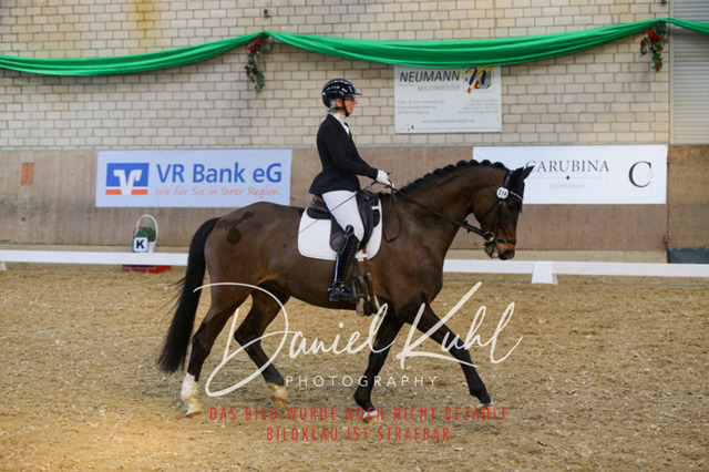 IMG_2713 | Turnierfotos kaufen im Webshop von Daniel Kuhl Photography – entdecke professionelle Reitsportfotos aus Turnieren & Events. Hochwertige Turnierbilder online bestellen & sichern. Jetzt Fotos von Reitsportturnieren kaufen!