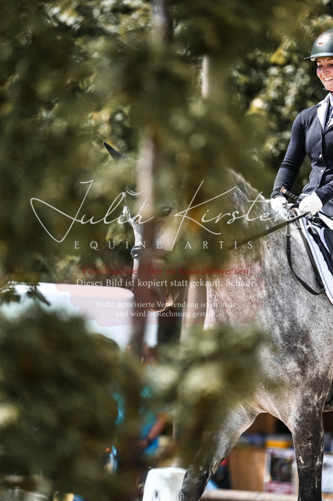 DSC_5591 | Pferde- und Turnierfotografie in Westsachsen. Pferdeportraits, Auftragszeichnungen und intuitive Kunst.