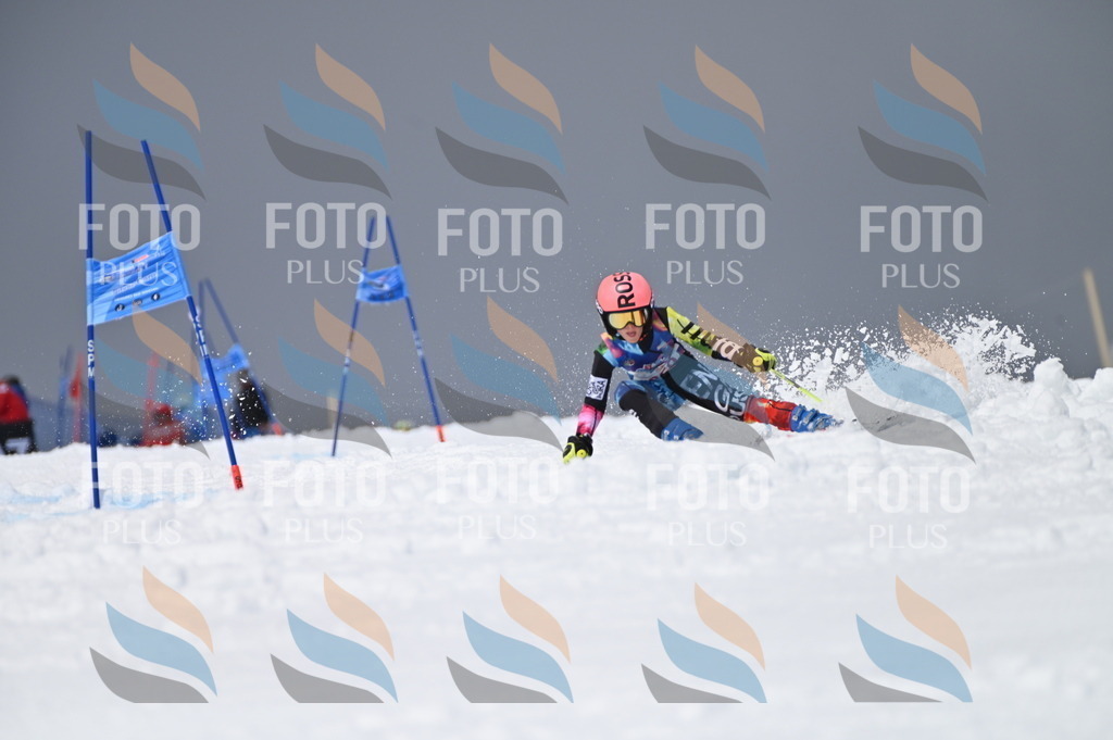 AGV_5504 | holidayphoto