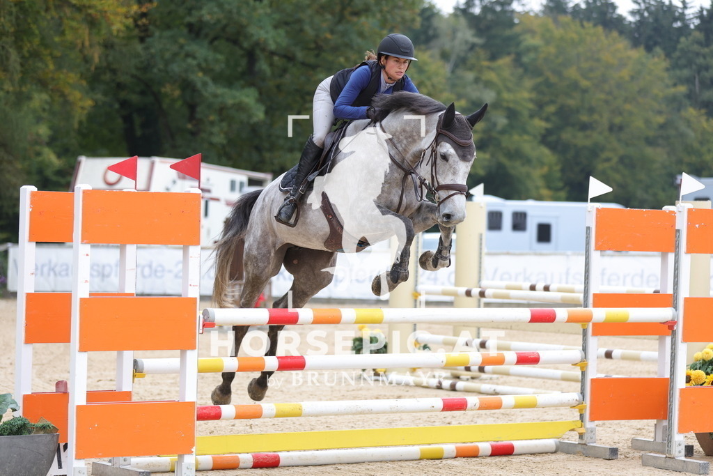 0P6A3271 | Willkommen bei Brunnmayr - Design & Fotografie – Ihrem Spezialisten für Reitturniere und Pferdeveranstaltungen in Oberösterreich, Salzburg und Bayern! Seit über 17 Jahren sind wir leidenschaftlich dabei.