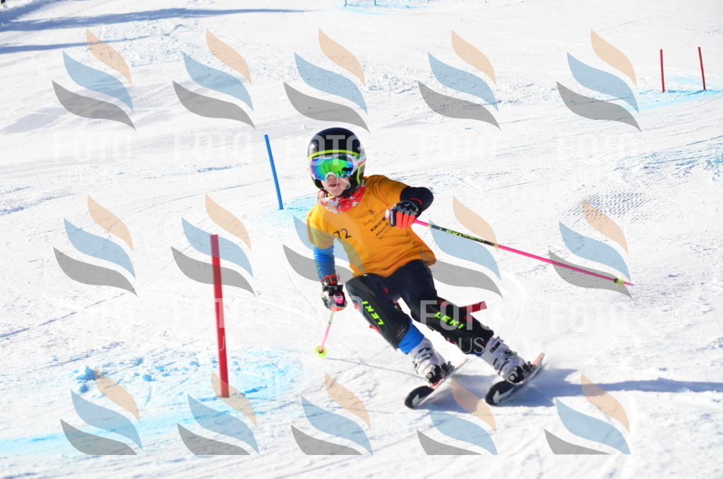 C5906 | holidayphoto