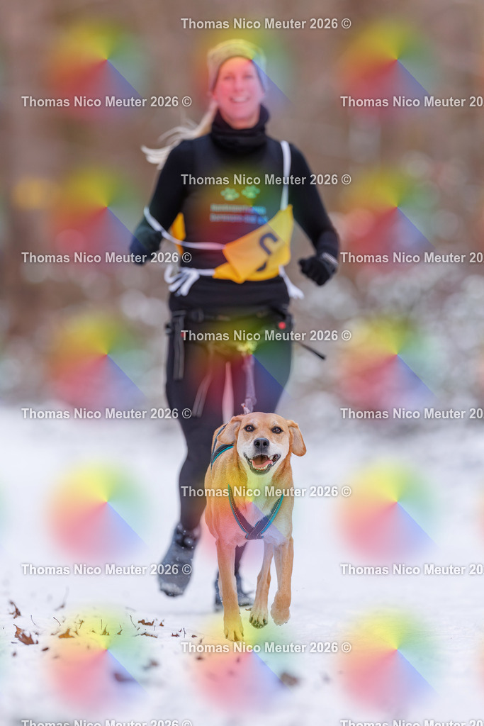 Thomas_Nico_Meuter(C)_223A8028 | Bild von Thomas Nico Meuter - Realisiert mit Pictrs.com