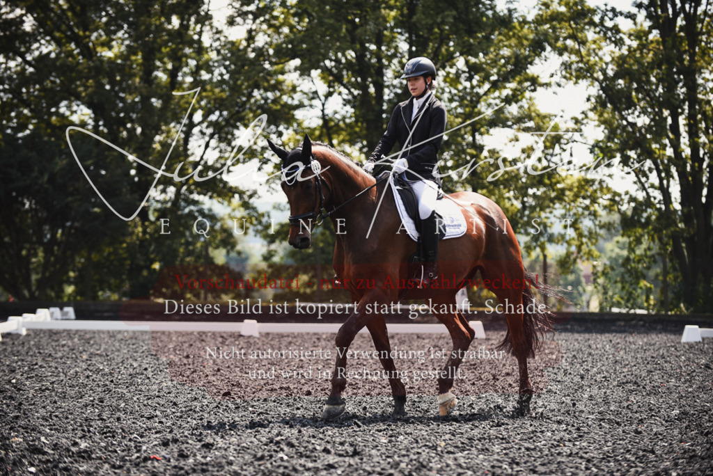 DSC_4143 | Pferde- und Turnierfotografie in Westsachsen. Pferdeportraits, Auftragszeichnungen und intuitive Kunst.