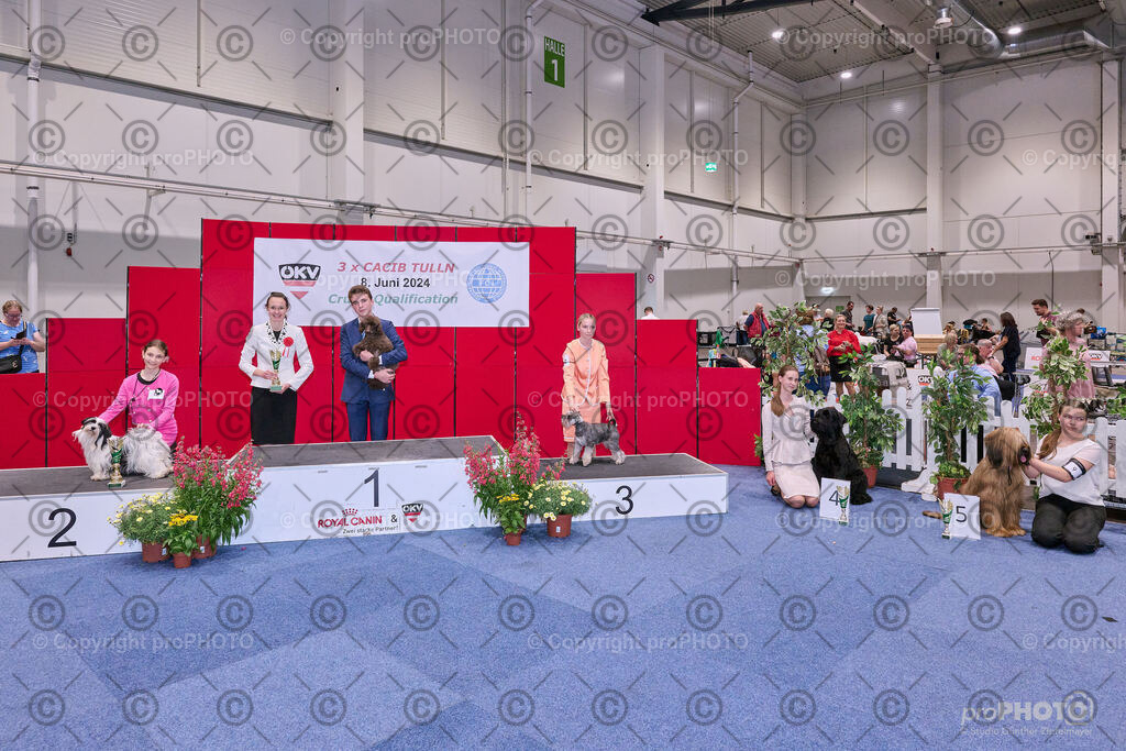 202406_ÖKV-IHA-Tulln24_NZ9_8590 | proPHOTO - Realisiert mit Pictrs.com