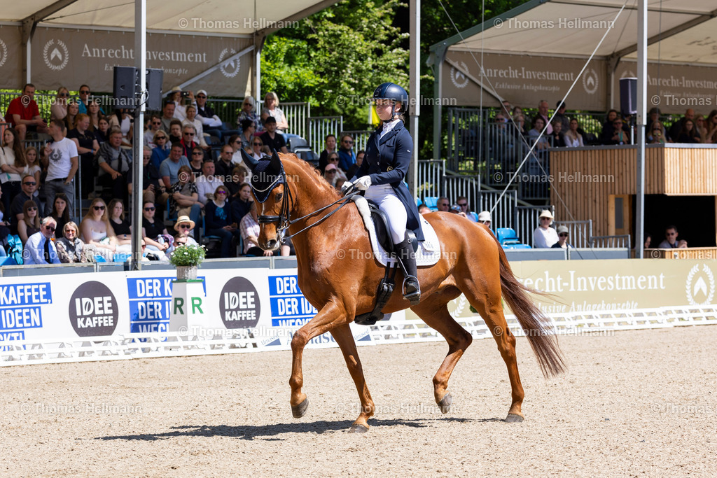 TH_556-BURSCHIK Kim (GER)_ Van Victorio BD_17708 | Deutsches Spring- und Dressur-Derby 2024 am 11.05.24 in Hamburg, 556BURSCHIK Kim (GER), Van Victorio BD
