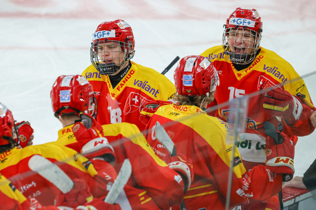 0314_WB_EHCB vs GSHC_9688 | Sportbilder, Sportfotograf, Hochzeits- und Eventfotografin, Flugshows, Portraits und Tiershooting, Aviation, Downhill, Nationalleague, Swissleague, International