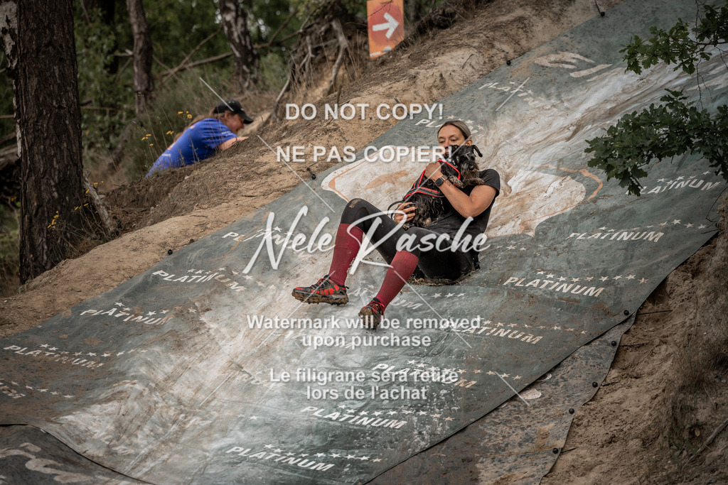nelerasche_sa1200-1230_239 | nelerasche