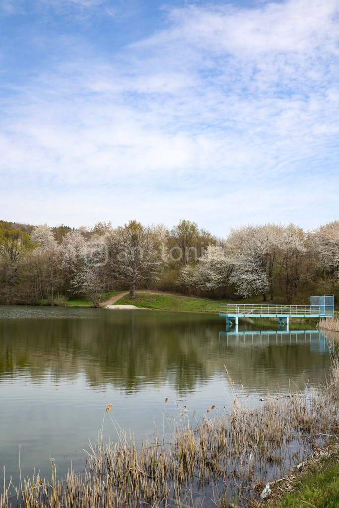 A.Trupina-236 | antonija-trupina - Realisiert mit Pictrs.com