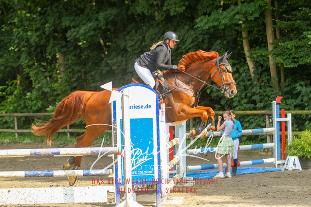 DKP45175 | Turniersportfotografie; Pferdefotografie; Dressurfotografie