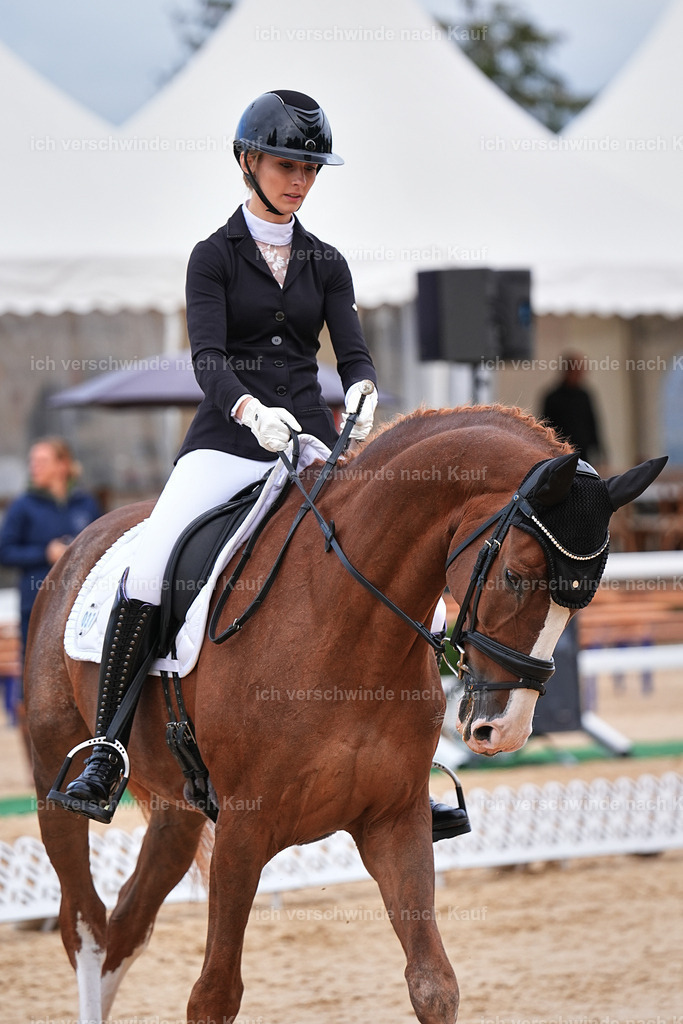 02-037-DRESSUR L_  -Marixx-4811 | working equitationturnier fotograf videograf stoibphotography marixx film working equitation deutschland reitsport turnierfotografie eventfotografie equestrian events