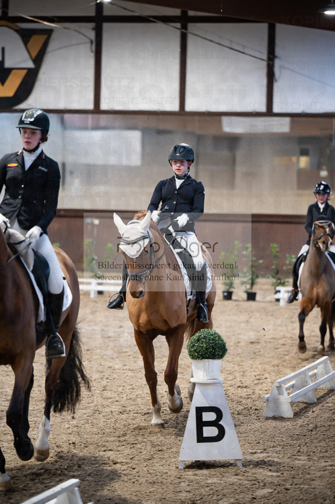 Hallenreittunier Voxtrup 2023 | Entdecke hochwertige Reitturnierfotos von Foto Oger. Professionell, emotional und authentisch – jetzt Lieblingsmomente im Shop bestellen.Deutschlandweite Turnierfotografie. - Realisiert mit Pictrs.com