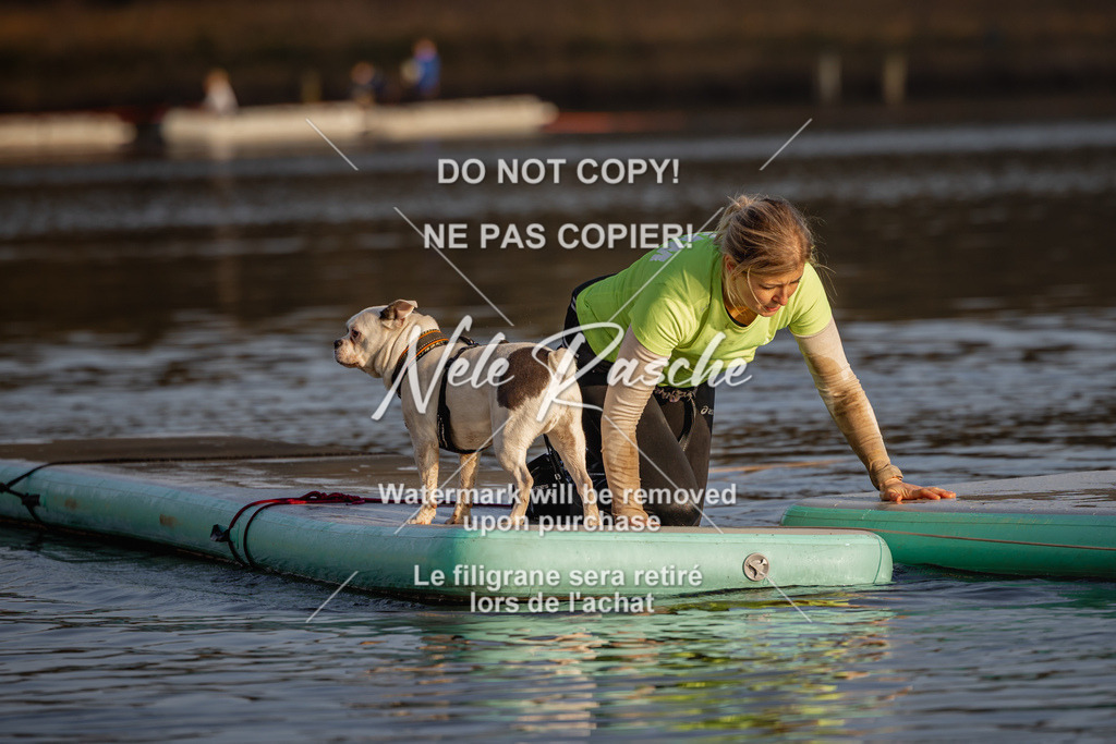 nelerasche_Hulsbeek_Sa1700-1730_237 | nelerasche