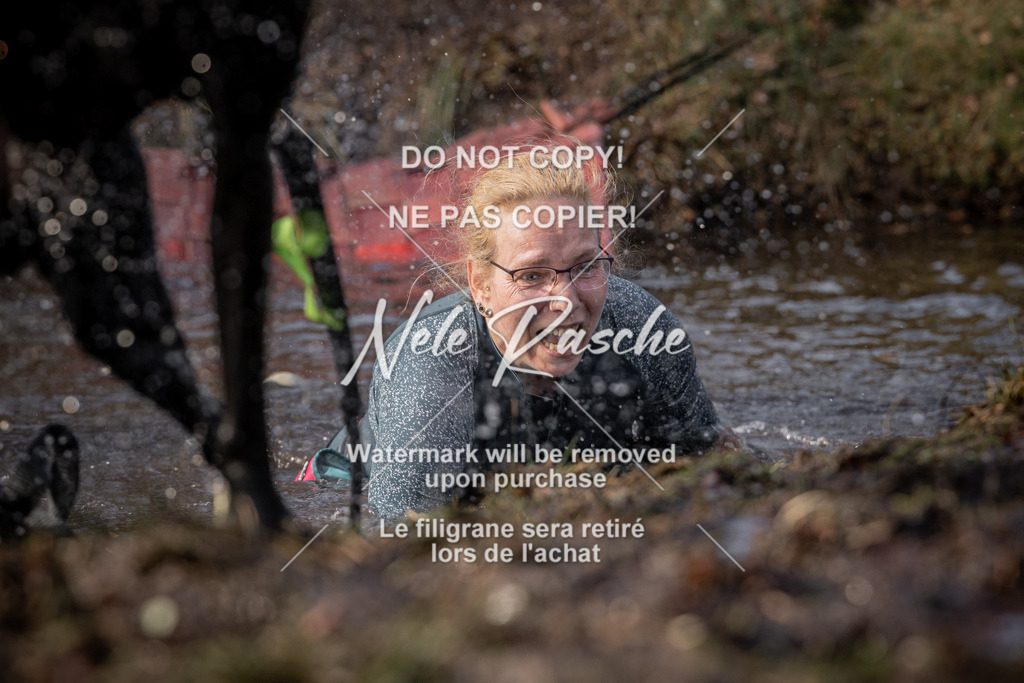 nelerasche_FS1430-1500_97 | nelerasche
