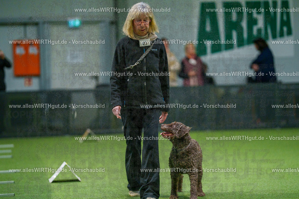 7R504910 | Professionelle Tierfotografie in Mönchengladbach von Daniel Wirth (allesWIRTHgut). Liebevolle & natürliche Bilder von Hunden & Katzen für unvergessliche Erinnerungen.