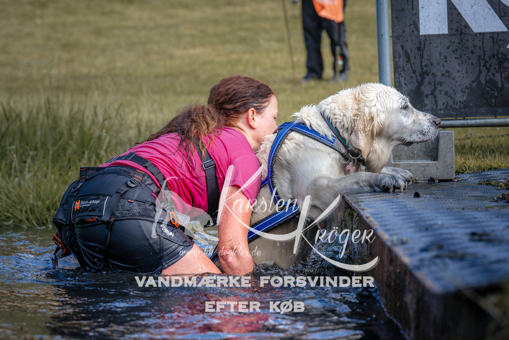 _ZZ984980802 | kk-dogfotos