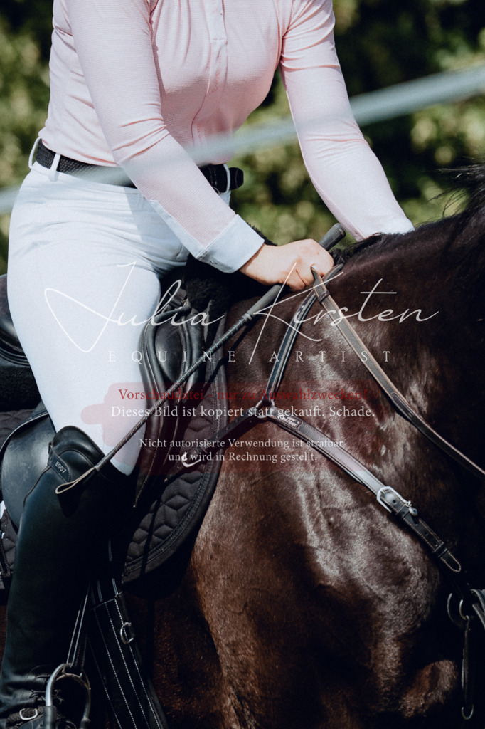DSC_0873 | Pferde- und Turnierfotografie in Westsachsen. Pferdeportraits, Auftragszeichnungen und intuitive Kunst.