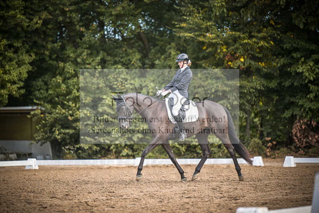 DOS_1284 | Entdecke hochwertige Reitturnierfotos von Foto Oger. Professionell, emotional und authentisch – jetzt Lieblingsmomente im Shop bestellen.Deutschlandweite Turnierfotografie. - Realisiert mit Pictrs.com