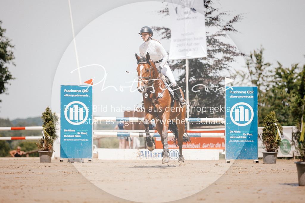 3I6A7752 | Stimmungsvolle Portraits und Reitsportfotografie im Ruhrgebiet und im Münsterland.

Pferdefotografie, Hundefotografie, Tierfotografie, Reportagen, Portraits von Tier und Mensch, Turnierfotografie in Bochum, Recklinghausen, Marl, Haltern am See, Dülmen.. - Realisiert mit Pictrs.com