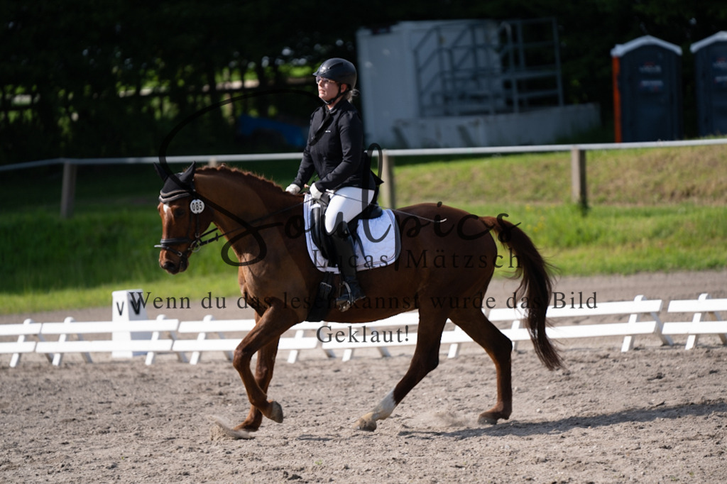 A7V02448 | Pferdefotograf