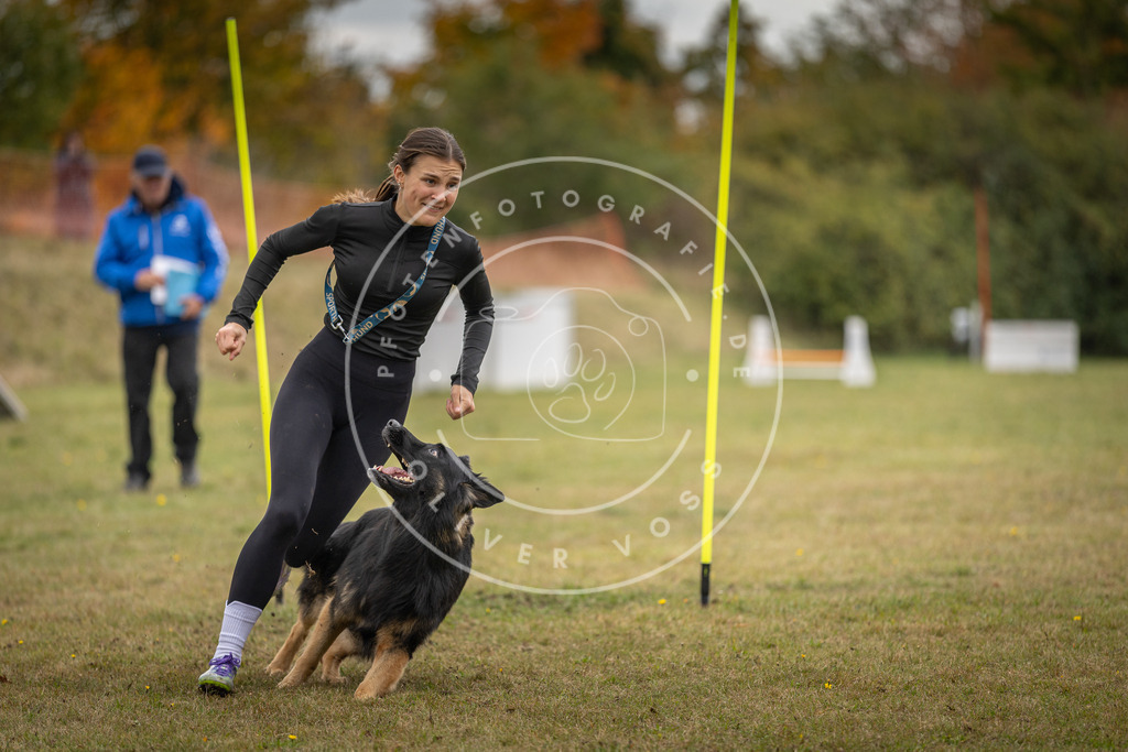 Pfotenfotografie_DV3A7755 | Hundefotografie, Tierfotograf, Pfotenfotografie, Fotoshooting Hund, Hunde Portrait, Hundesport, Hundeportraits, Heideshooting, Hunde, Sportfotograf, Hundefotograf, Turnierhundsport, THS,  - Realisiert mit Pictrs.com