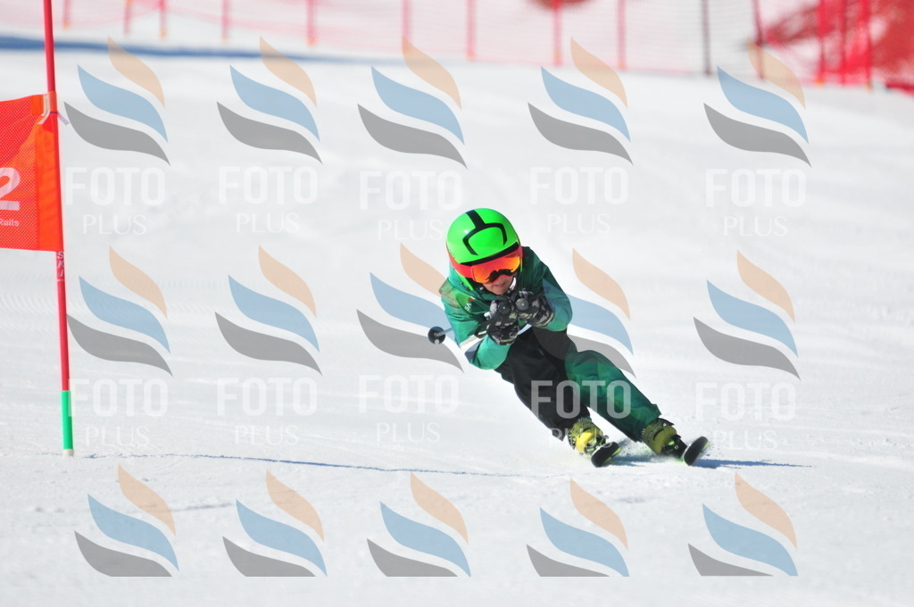 C2205 | holidayphoto