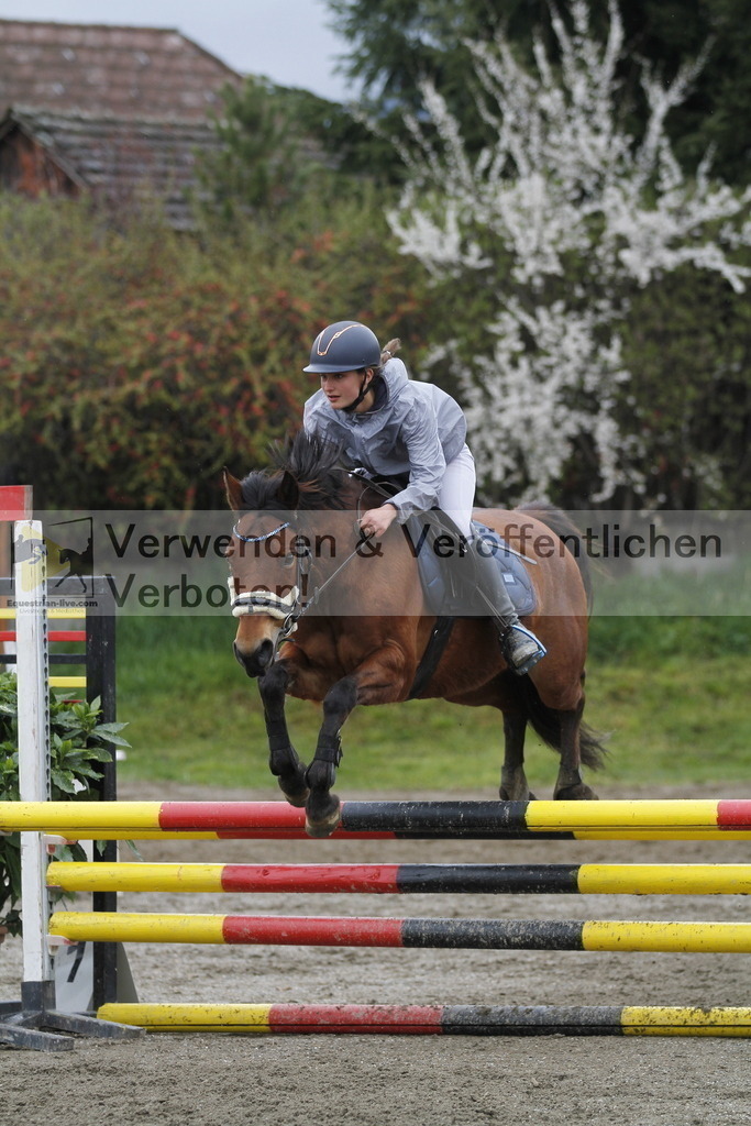 _MG_3556 | equestrian-live-com