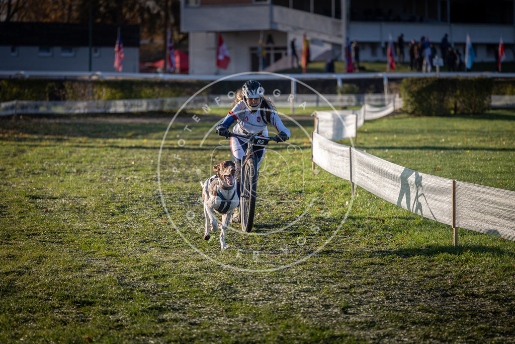 CaniXpix_0L8A3414 | Hundefotografie, Tierfotograf, Pfotenfotografie, Fotoshooting Hund, Hunde Portrait, Hundesport, Hundeportraits, Heideshooting, Hunde, Sportfotograf, Hundefotograf, Turnierhundsport, THS,  - Realisiert mit Pictrs.com