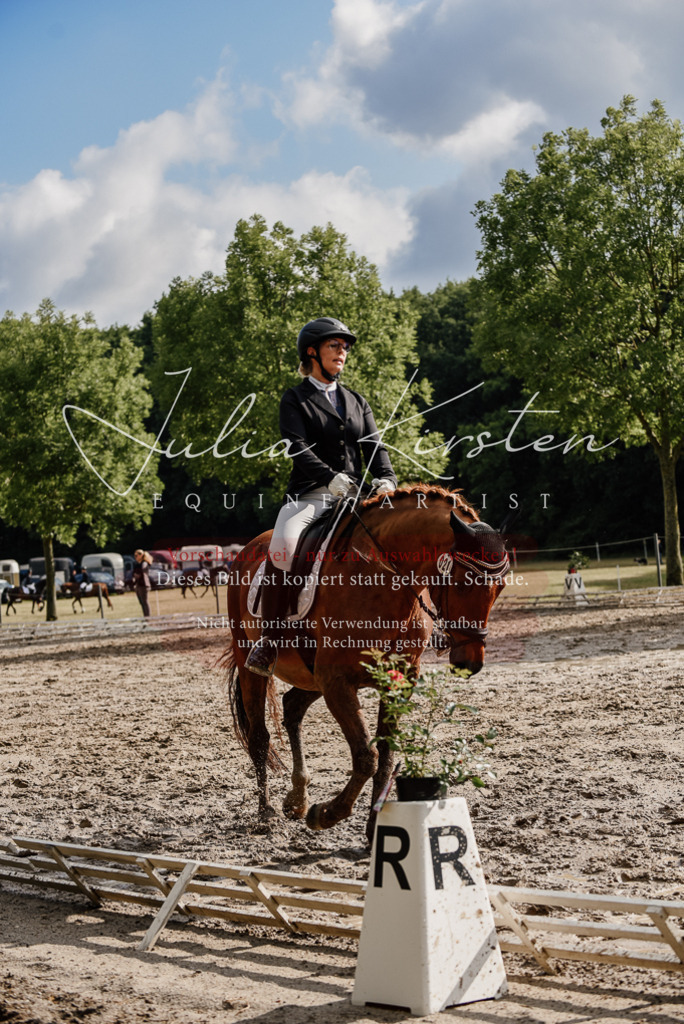 DSC_8922 | Pferde- und Turnierfotografie in Westsachsen. Pferdeportraits, Auftragszeichnungen und intuitive Kunst.