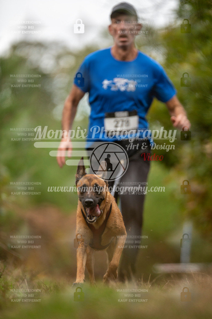 TSB_2023_E5_Canicross-21 | PayLife