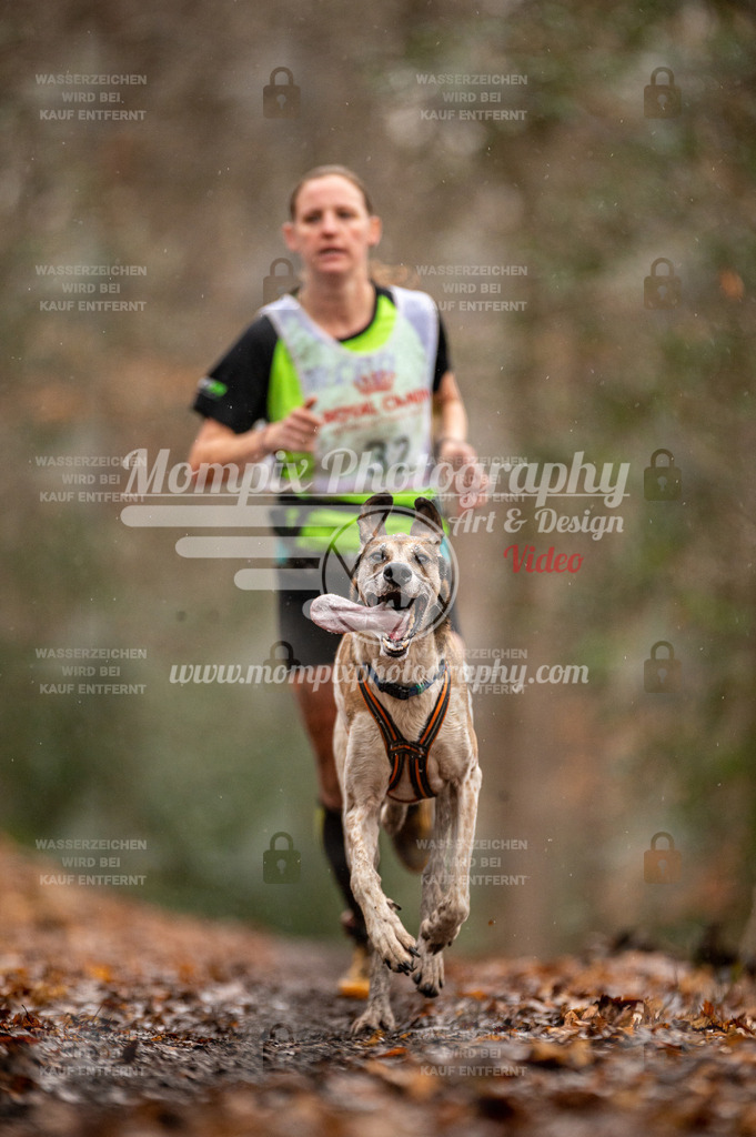 SPA_2023_DIM_CCL-51 | PayLife