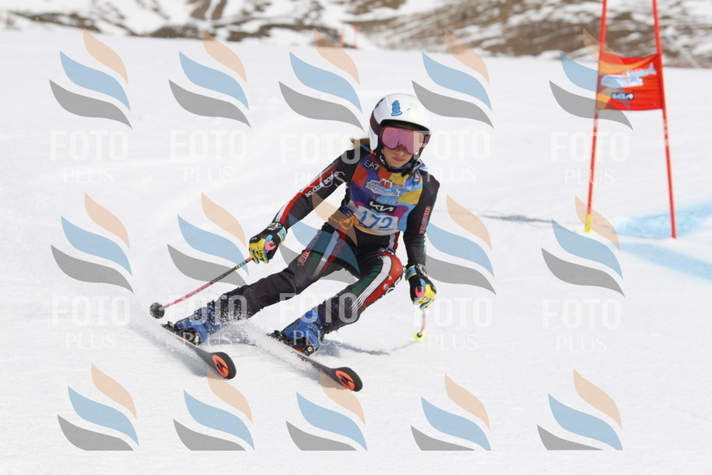 _U3G1588 | holidayphoto